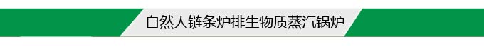 自然人鏈條爐排生物質(zhì)蒸汽鍋爐--ZRS—SZL系列 自然人鏈條爐排生物質(zhì)蒸汽鍋爐--ZRS—SZL系列
